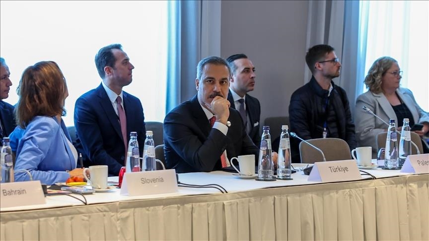 بروكسل.. اجتماع "إسلامي" أوروبي يدعم إنهاء الحرب بغزة وحل الدولتين