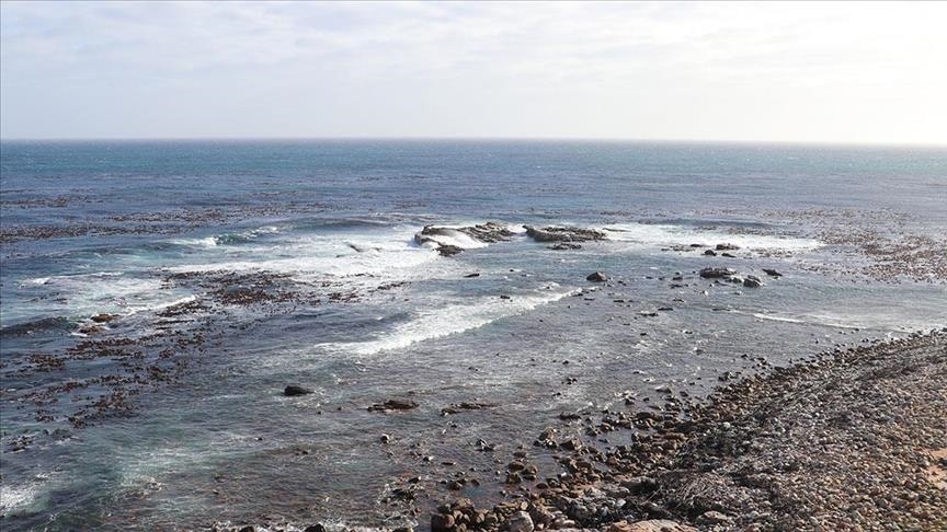 Атаки хуситов за полгода сократили судоходство через Суэцкий канал до минимума