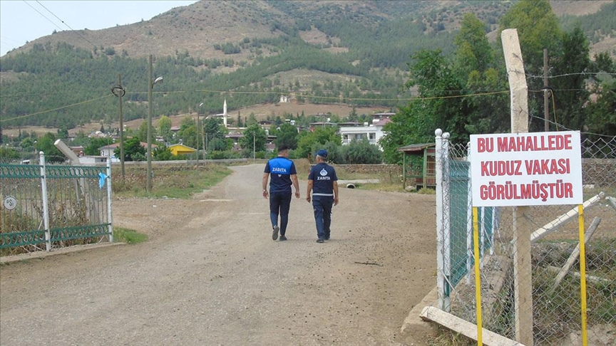 Gaziantep'te iki mahallede kuduz karantinası