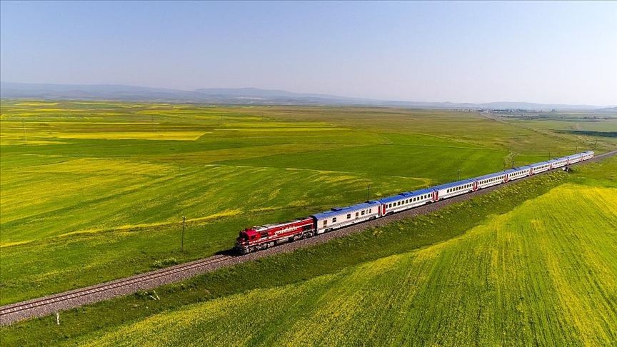 TCDD, otla mücadele kapsamında tren yollarında ilaçlama yapacak
