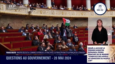 إبعاد نائب رفع العلم الفلسطيني بالبرلمان الفرنسي لمدة 15 يوما