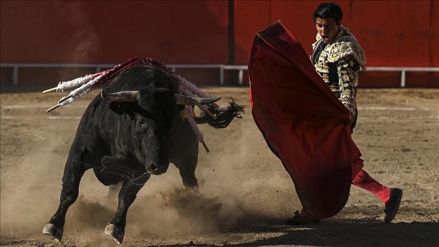 Le Congrès colombien interdit les corridas