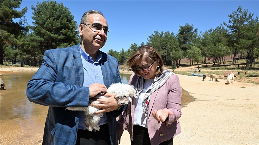 Gaziantep'te 10 yılda yaklaşık 100 bin sahipsiz hayvan rehabilite edildi