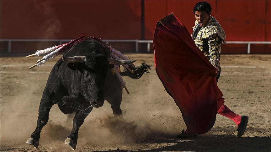 Colombia’s congress bans bullfights