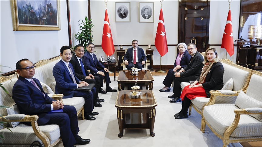 Turkish vice president discusses bilateral cooperation with Cambodian deputy prime minister