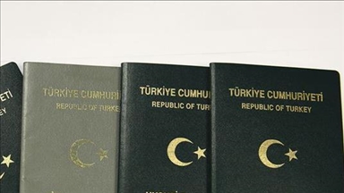 توقف اجرای توافقنامه لغو متقابل ویزا برای دارندگان پاسپورت دیپلماتیک بین ترکیه و افغانستان 