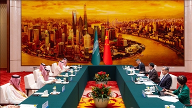Chinese, Saudi foreign ministers discuss regional issues