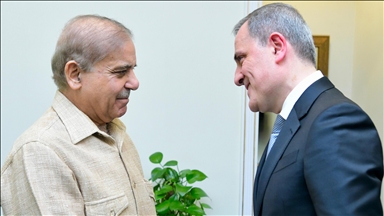 Azerbaijan's top diplomat meets with Pakistani premier, army chief