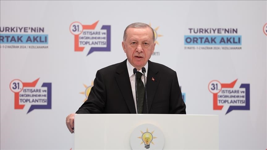Эрдоган: Турция единственная не ограничилась осуждением преступлений Израиля и приняла меры
