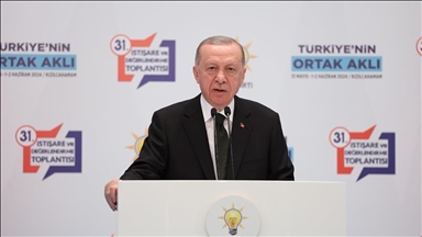 Türkiye only country showing strongest reaction to Israeli massacre in Gaza, says president
