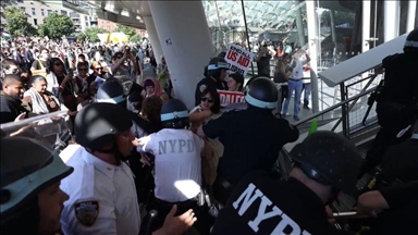 Полиция Нью-Йорка применила силу в отношении пропалестинских активистов 