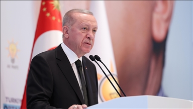 Erdogan: ''La Türkiye est le seul pays ayant réagi fermement au massacre israélien à Gaza'' 