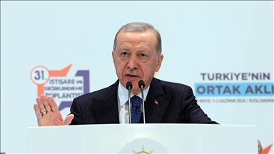 اردوغان: تا زمانی که باتلاق‌های مولد ترور در شمال عراق و سوریه خشک نشود ترکیه به آرامش نمی‌رسد 