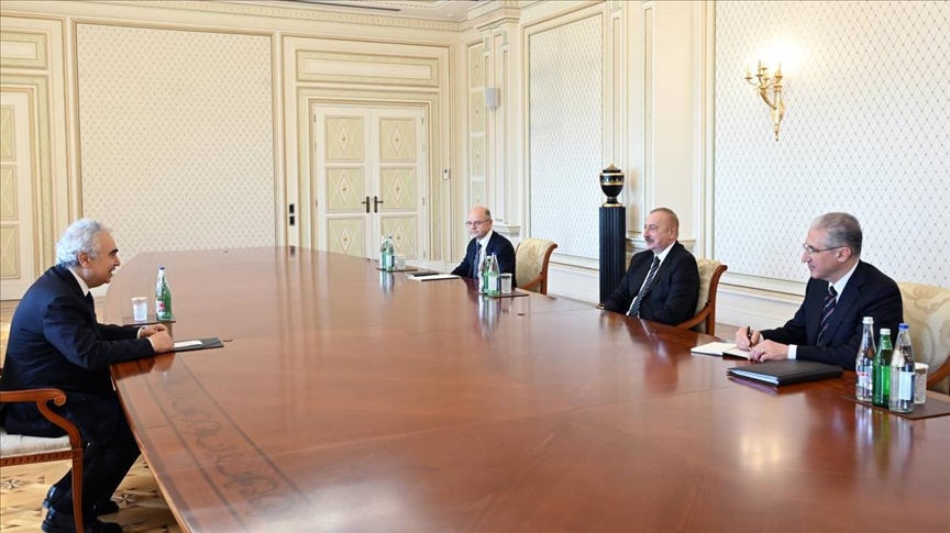 Президент Азербайджана и глава МЭА обсудили перспективы сотрудничества
