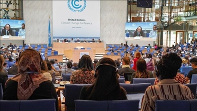 Bonn : la conférence de l'ONU sur le climat interrompue par des manifestants pro-palestiniens