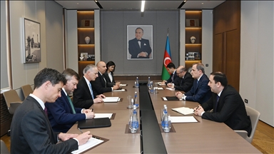 Глава МИД Азербайджана и советник Госдепа США обсудили мирный процесс на Южном Кавказе