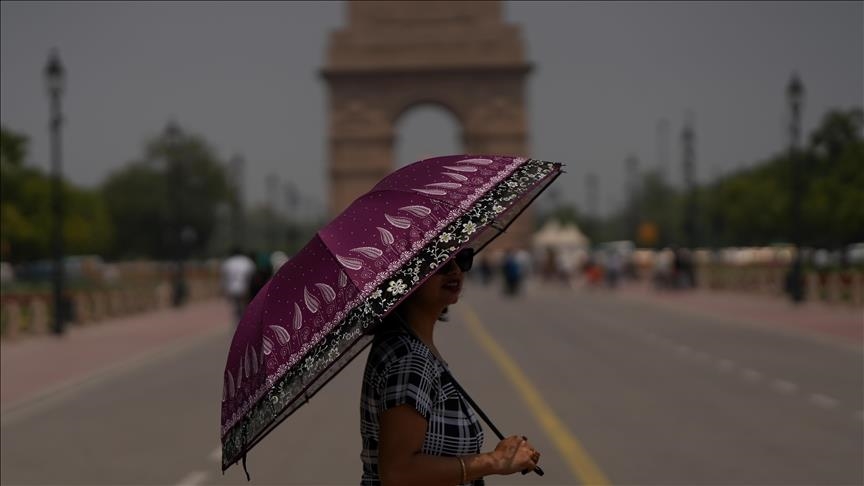 Heat wave hits hard as dozens killed in India