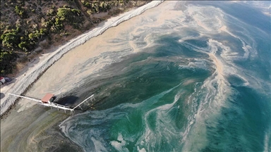 Tekirdağ'da planktonların çoğalmasıyla denizin rengi değişti