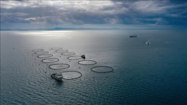 Türkiye sees record aquaculture production of 1.7M tons in 2023