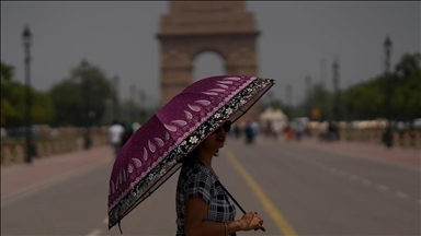 Heat wave hits hard as dozens killed in India