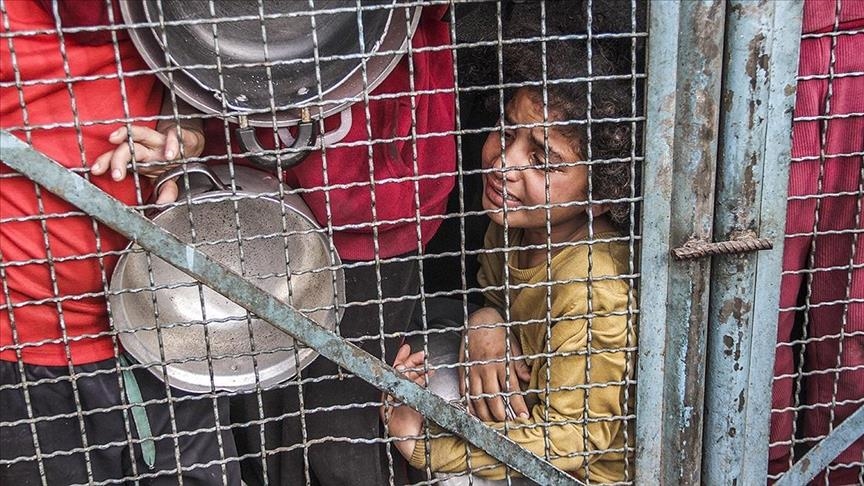 À Gaza, "des gens mangent de la nourriture animale, de l’herbe, et boivent des eaux usées", alerte l’OMS