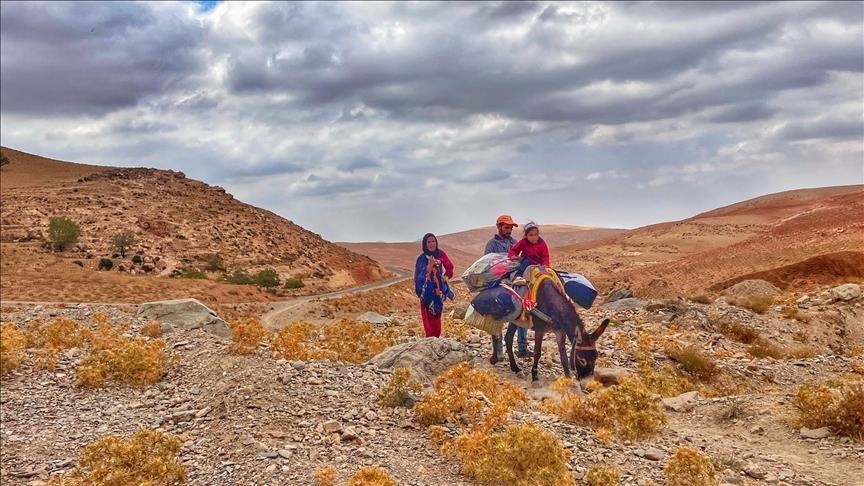 المغرب.. الجفاف يرهق جيوب الراغبين بشراء أضاحي العيد