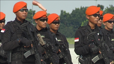 Indonesia says readying peacekeeping brigade for Gaza