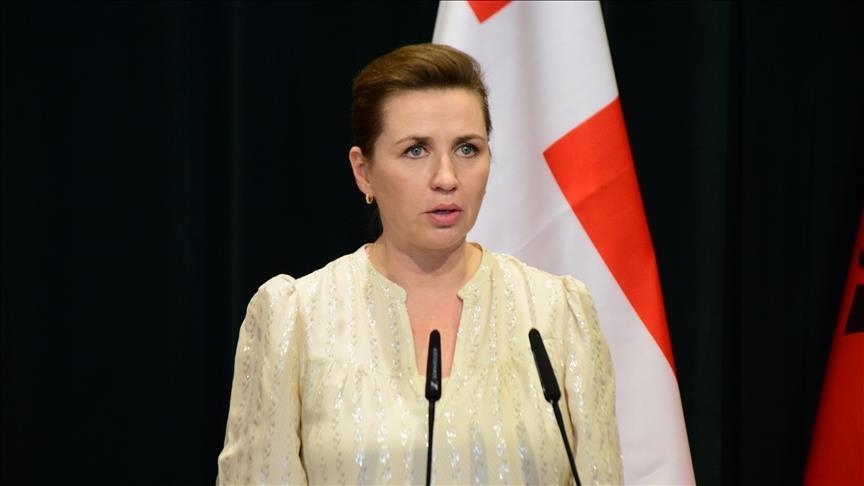 Danish premier assaulted in Copenhagen: Minister