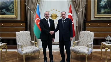 Turkiye's Erdogan, Azerbaijan's Aliyev meet in Ankara, discuss bilateral ties, Gaza