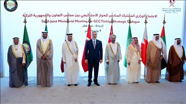 Gulf Cooperation Council, Türkiye extend joint action plan to 2029