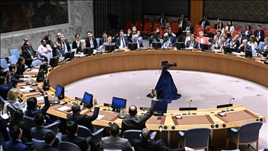 UN Security Council adopts resolution supporting US proposal for cease-fire in Gaza