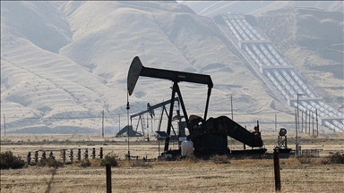 OPEC'in petrol üretimi mayısta günlük 29 bin varil arttı