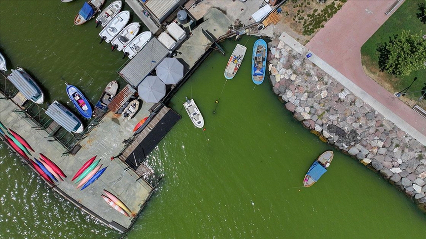 İzmir'de plankton patlaması denizin rengini değiştirdi