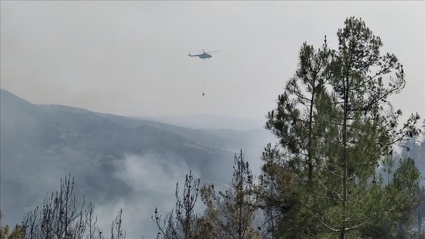 Sinop'ta çıkan orman yangını kontrol altına alındı