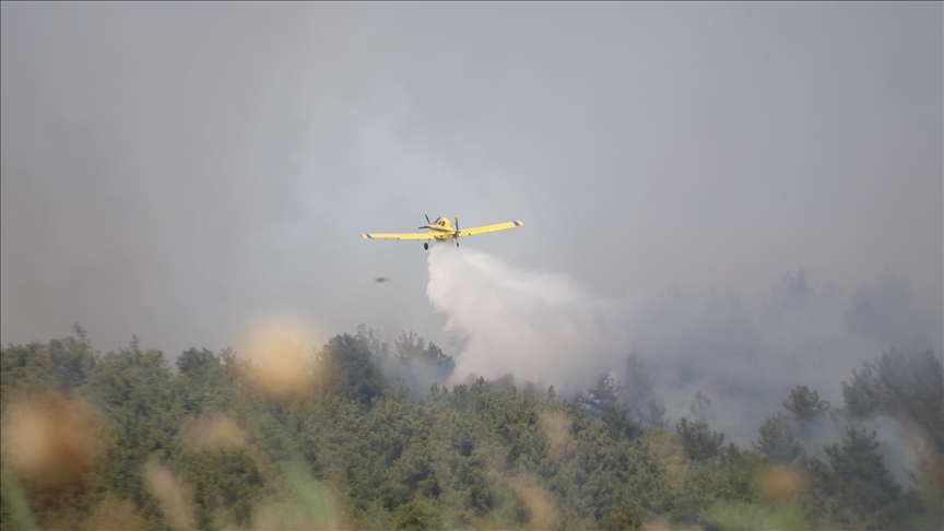 2 forest fires under control in Türkiye