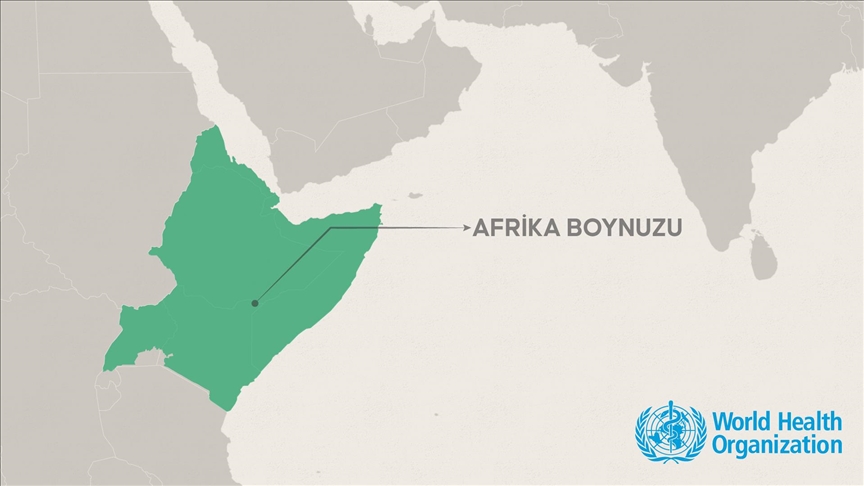 Afrika Boynuzu, iklim değişikliğine karşı en savunmasız bölgelerden biri