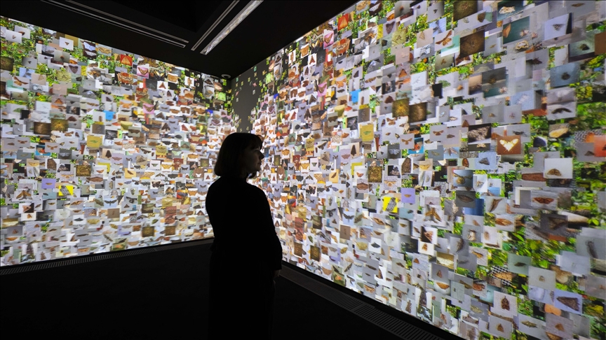 AI must never stand for 'advancing inequality,' says UN chief