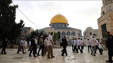 القدس.. 590 مستوطنا إسرائيليا يقتحمون المسجد الأقصى 