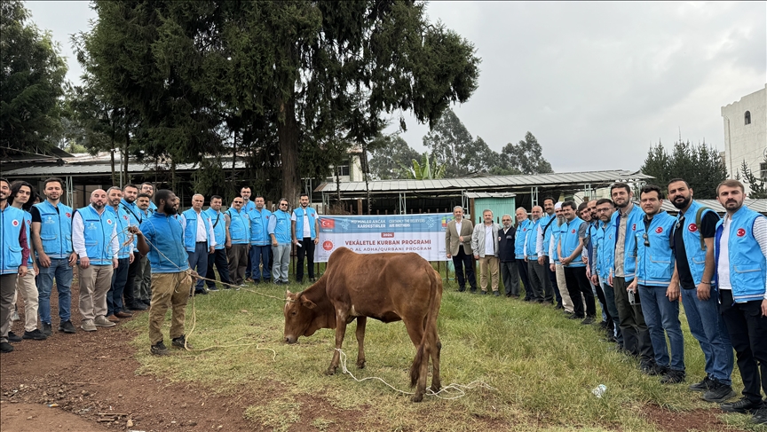 Türkiye Diyanet Vakfı, Etiyopya'da 38 bin 500 hisse kurban eti dağıtacak