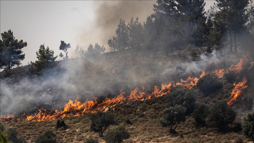 Fires caused by Hezbollah rockets burn 3,500 dunums of forests in northern Israel