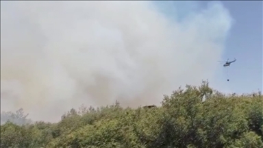 Manisa'nın Kula ilçesinde çıkan orman yangını kontrol altına alındı