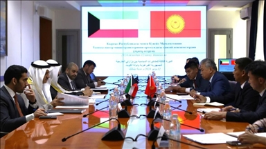 Кыргызстан и Кувейт готовы взаимодействовать в вопросе противодействия новым вызовам