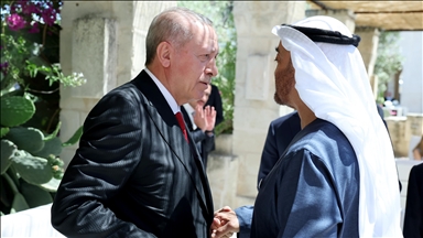 Turkish, UAE presidents discuss 'genocidal policies' in Gaza as part of G7 leaders summit in Italy