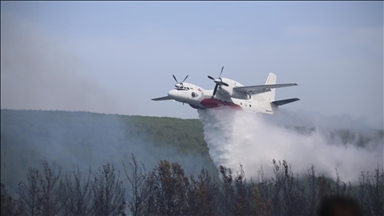 Çanakkale'de çıkan orman yangını kontrol altına alındı