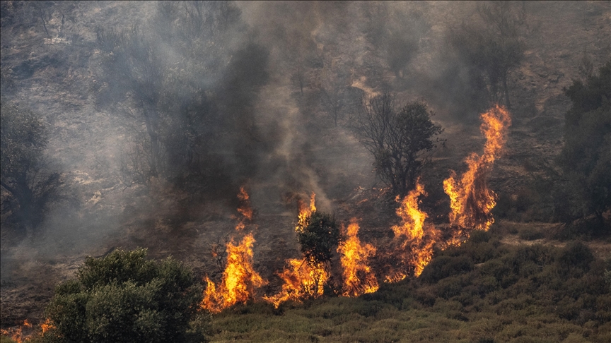 إخماد حريق واسع شرقي لبنان قبل امتداده للمنازل