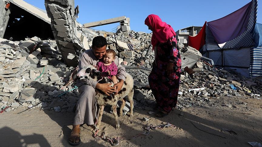 رغم الحرب..غزيون يذبحون الأضاحي على أنقاض منازلهم