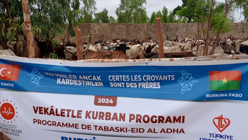 Burkina Faso : la Fondation turque Diyanet distribue 5 500 bovins à l’occasion de l'Aïd al-Adha