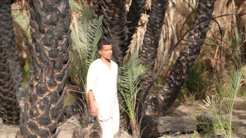 ليبيا.. الحرائق تلتهم 70 بالمئة من الأشجار في 3 مزارع نخيل