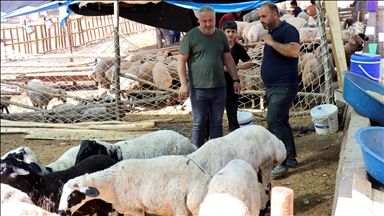 Şanlıurfa'daki hayvan pazarlarında hareketlilik sürüyor