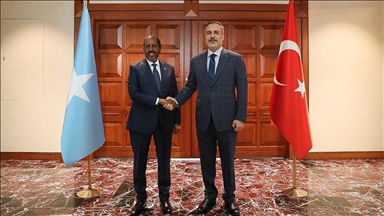 Глава МИД Турции встретился с президентом Сомали